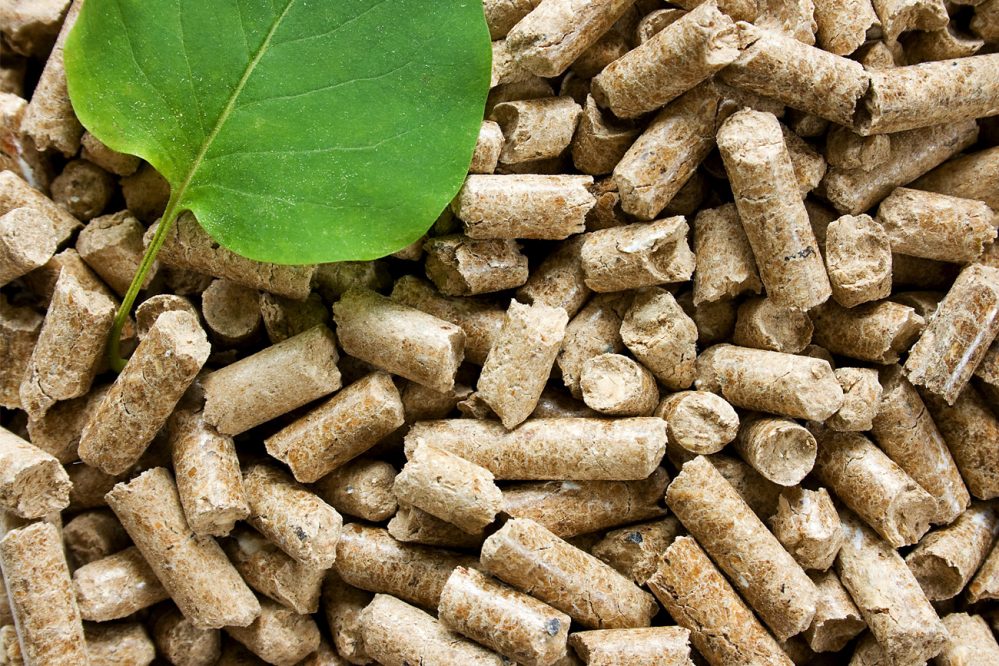 pellets-3